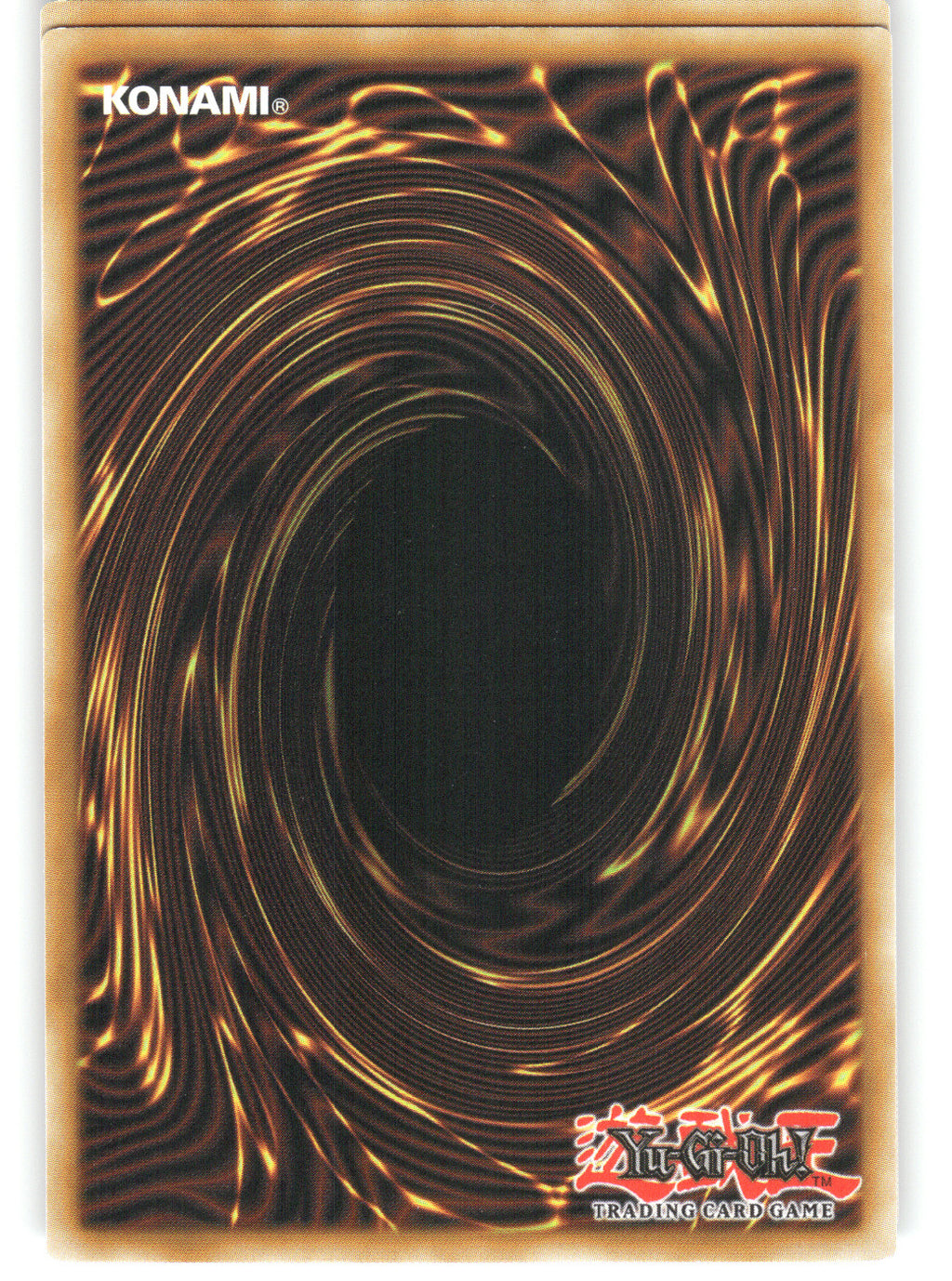 Rider of the Storm Winds (Back)