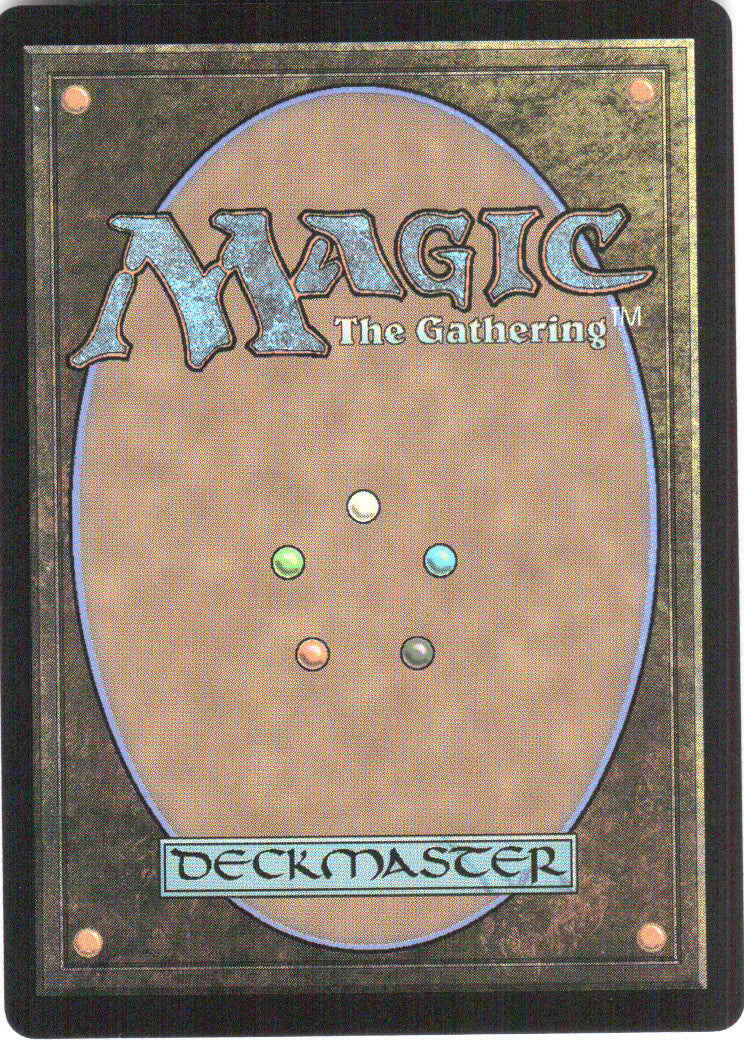 Erudite Wizard (Back)