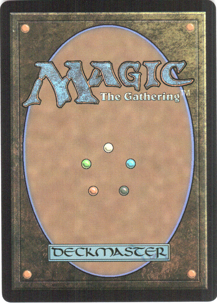 Elementalist Adept (Back)