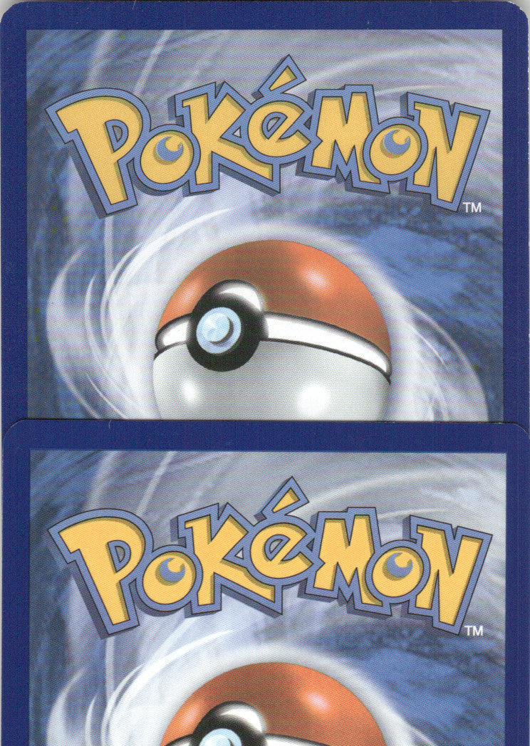 Victini (Back)