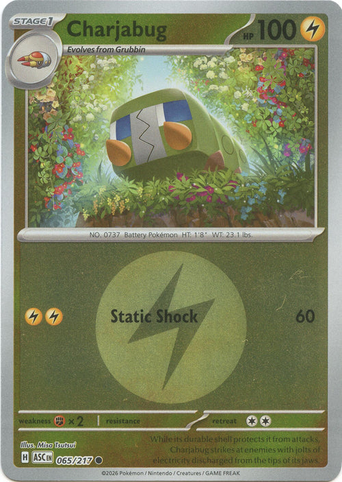Charjabug (Energy Symbol Pattern)