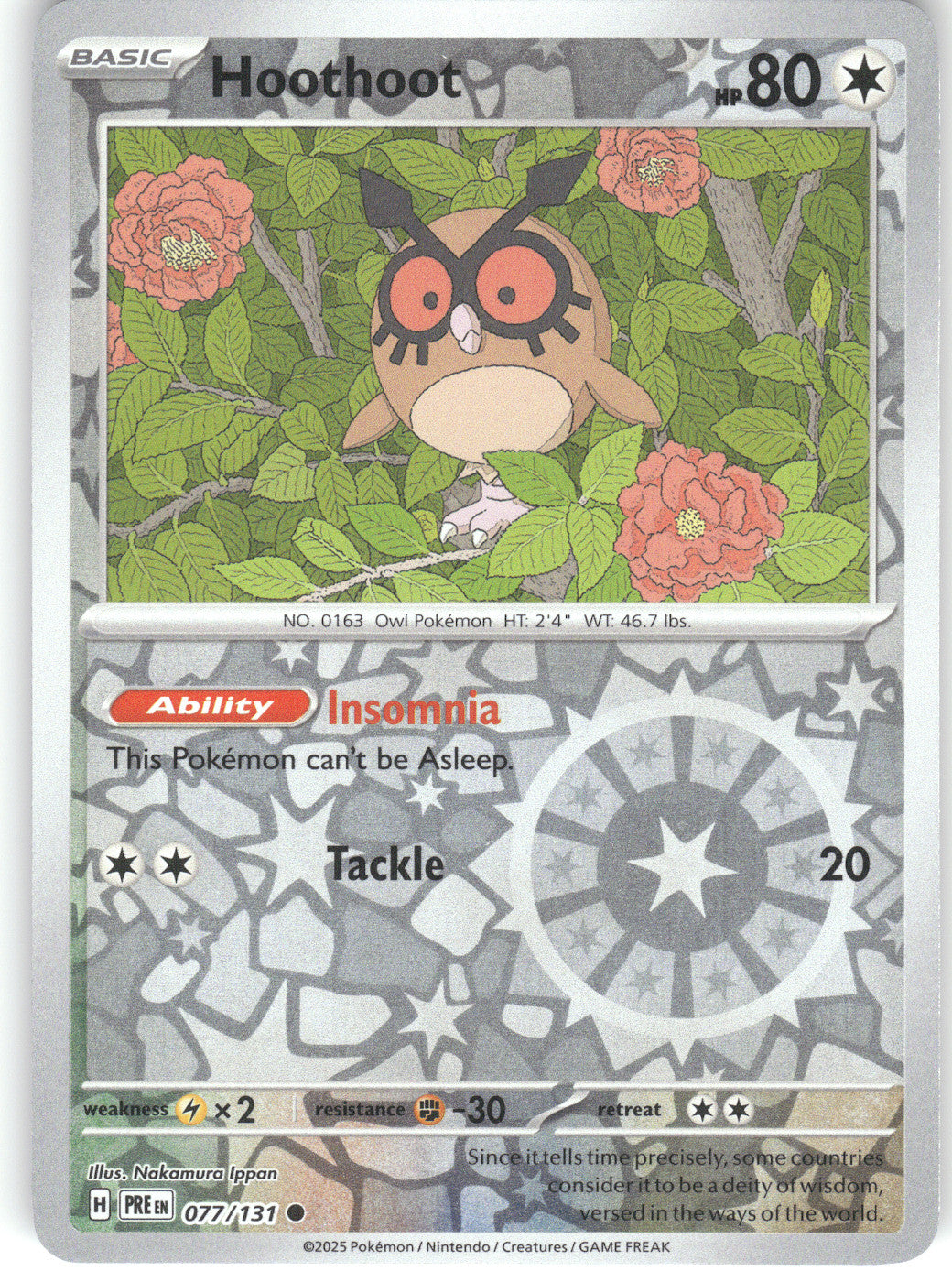 Hoothoot