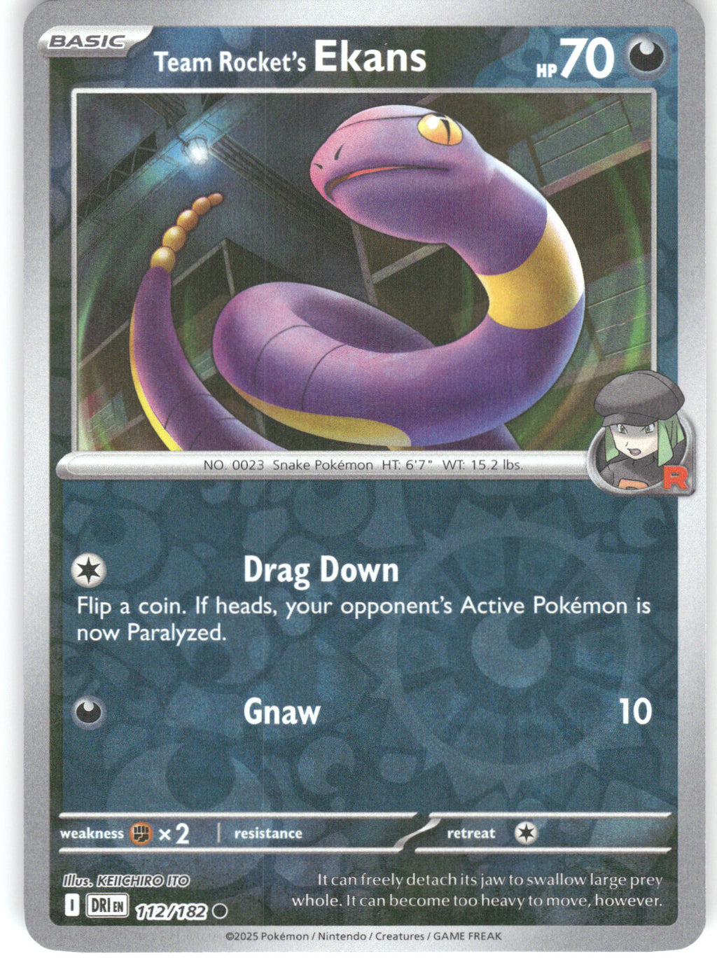 Team Rocket's Ekans