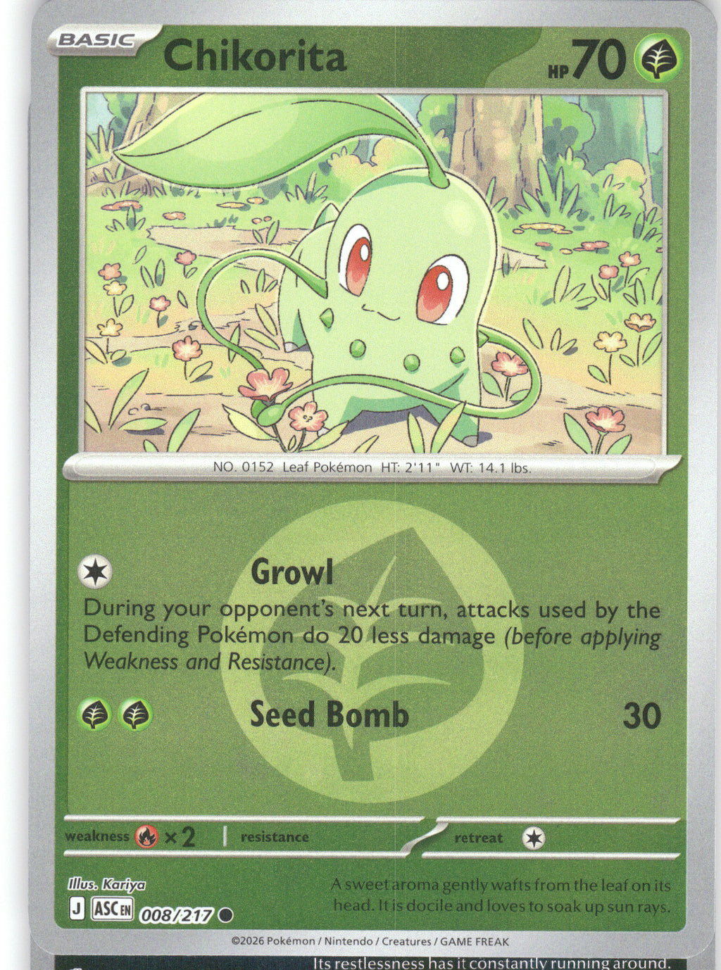 Chikorita (Energy Symbol Pattern)