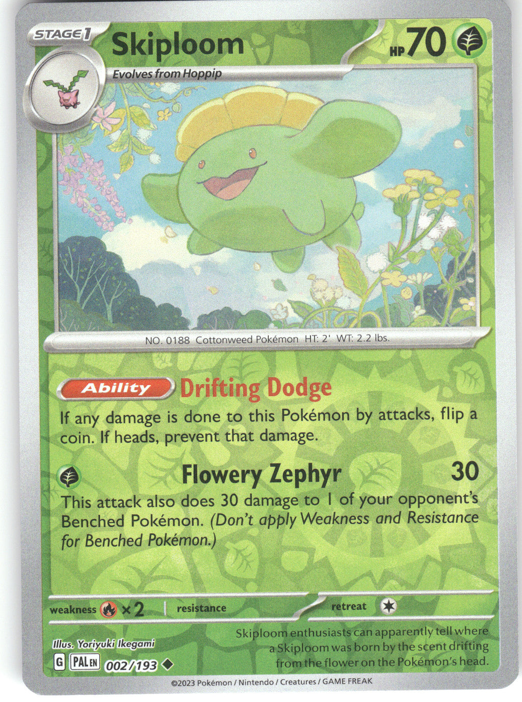 Skiploom