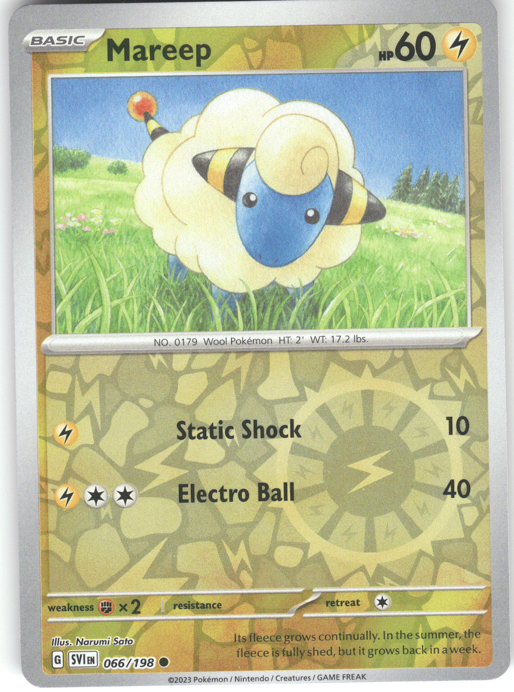Mareep