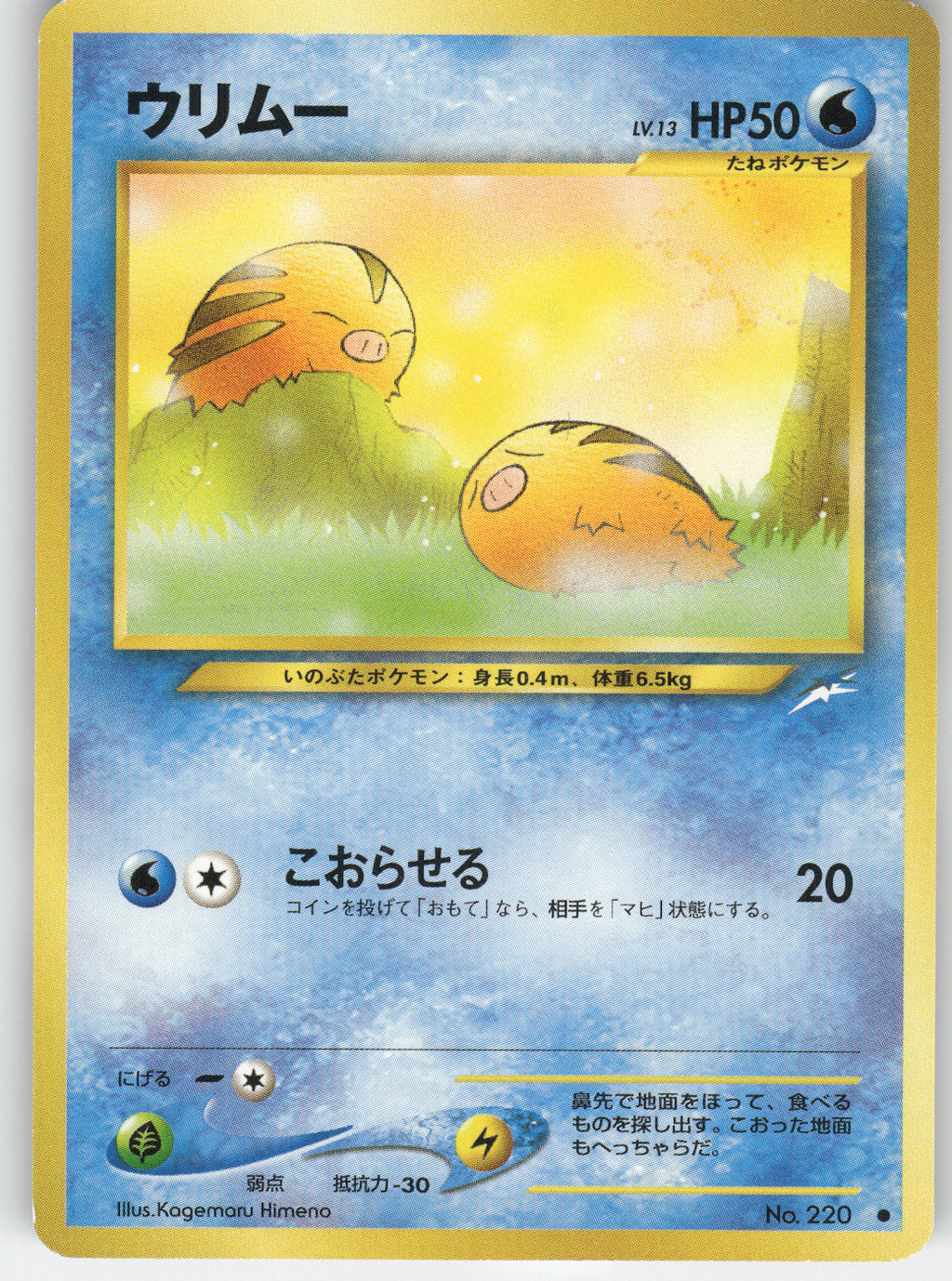 Swinub