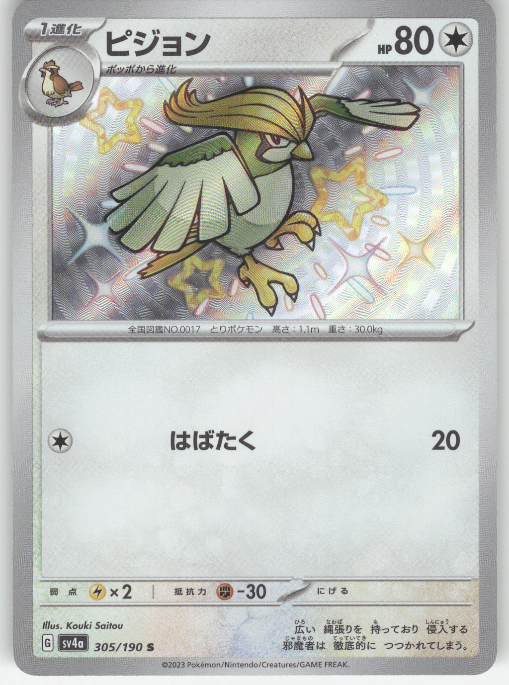 Pidgeotto - 305/190