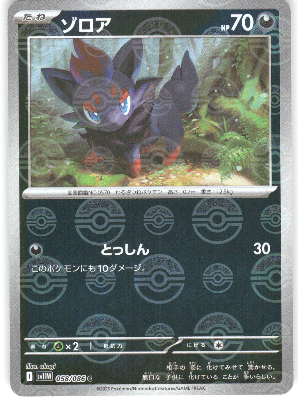 Zorua - 058/086 (Poke Ball Pattern)