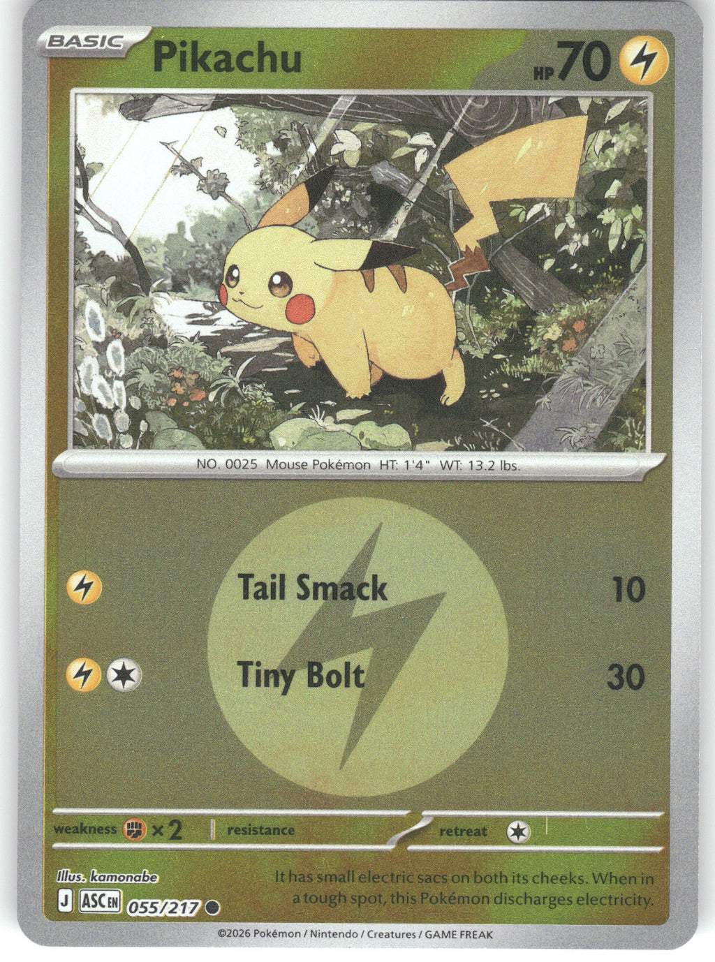 Pikachu (Energy Symbol Pattern)