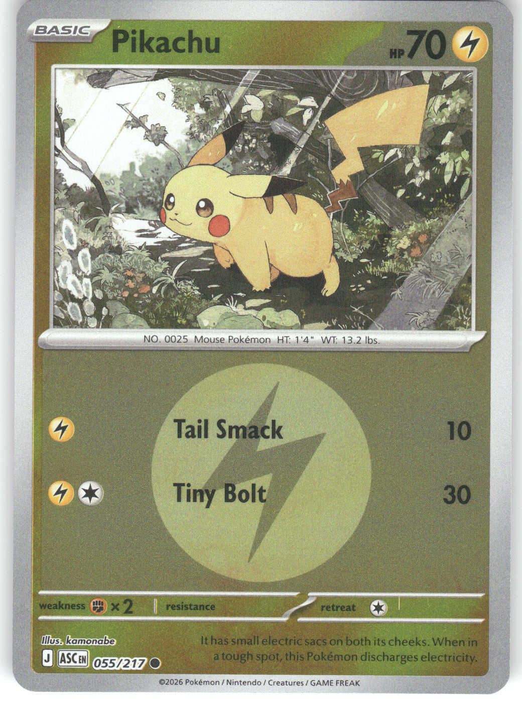 Pikachu (Energy Symbol Pattern)