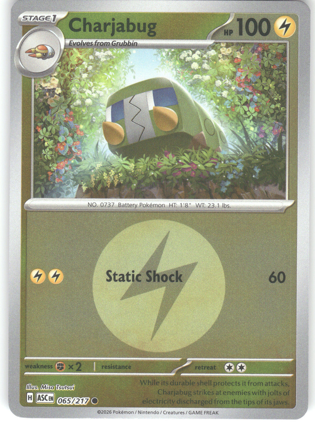 Charjabug (Energy Symbol Pattern)