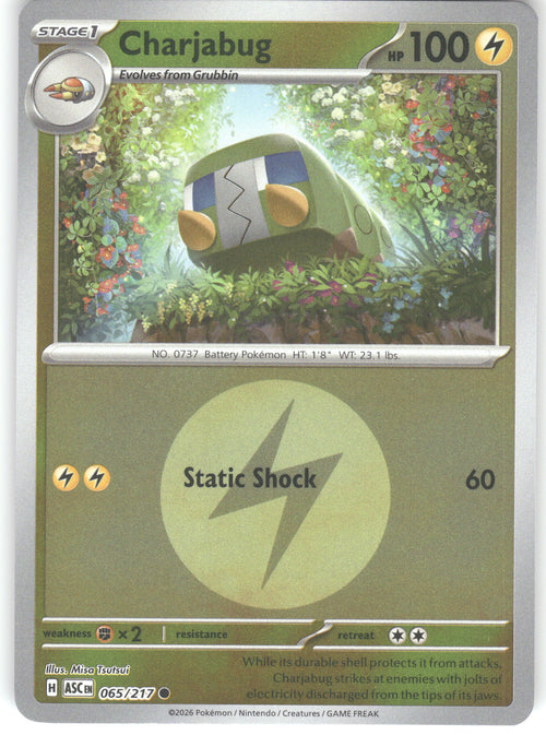 Charjabug (Energy Symbol Pattern)