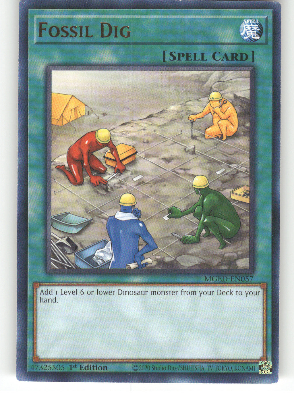 Fossil Dig