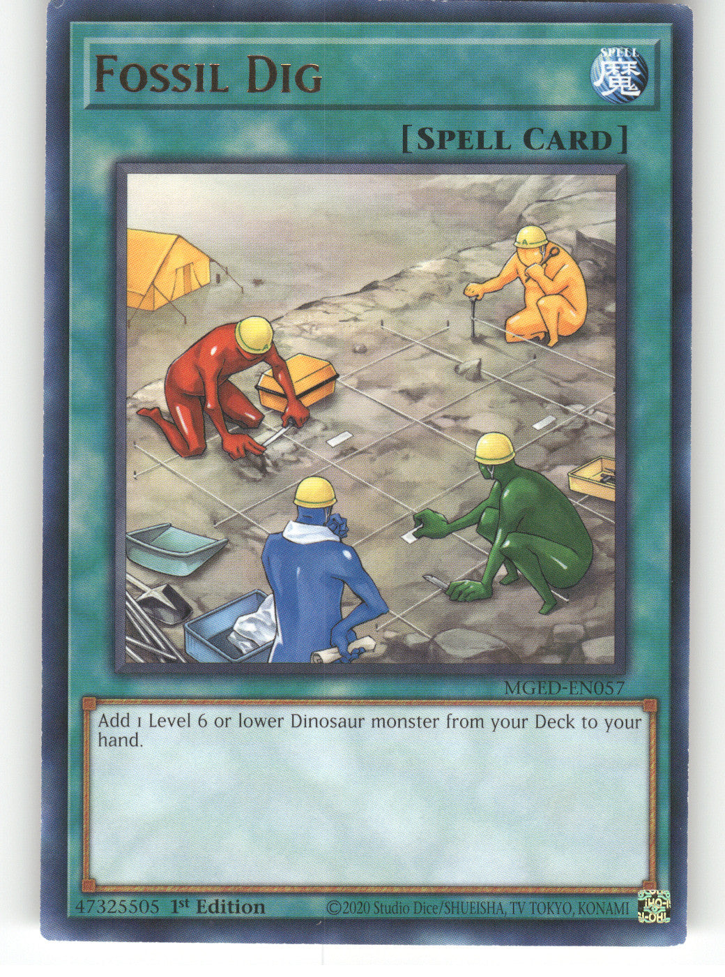 Fossil Dig