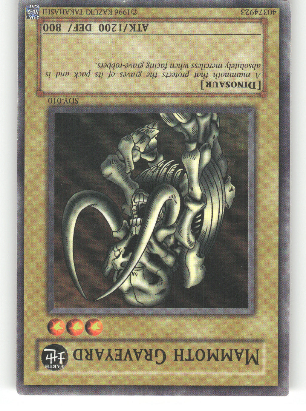 Mammoth Graveyard