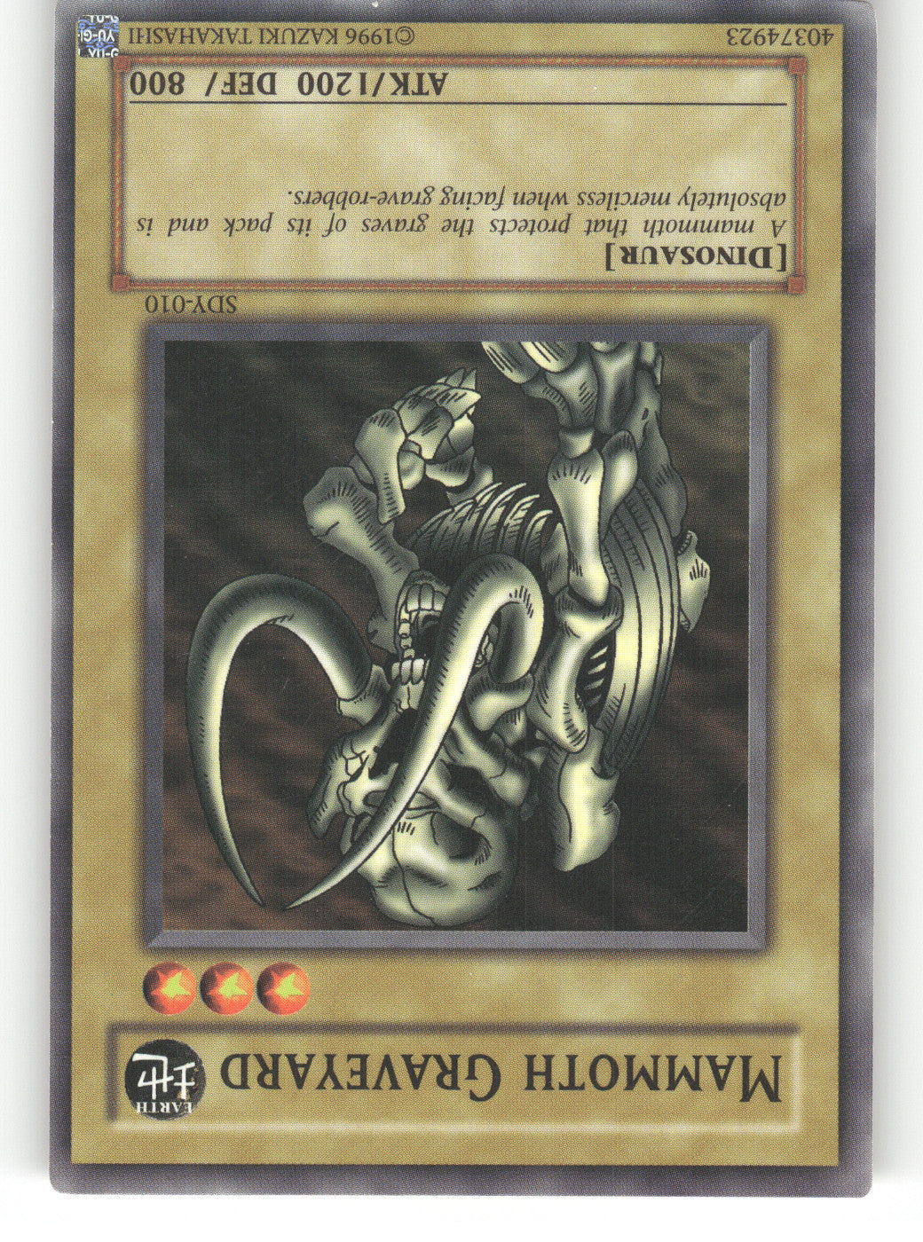 Mammoth Graveyard