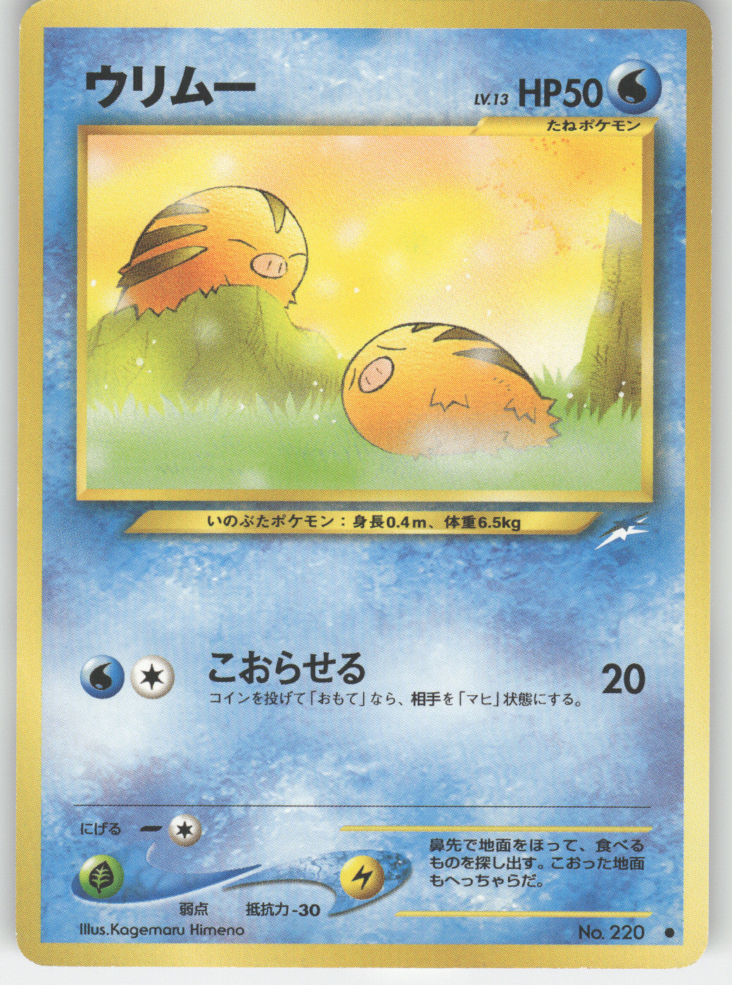 Swinub