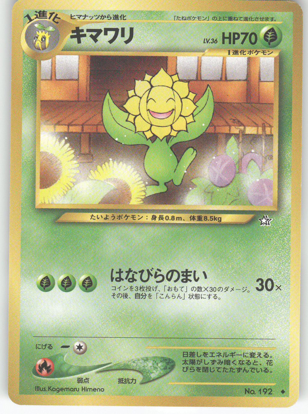Sunflora