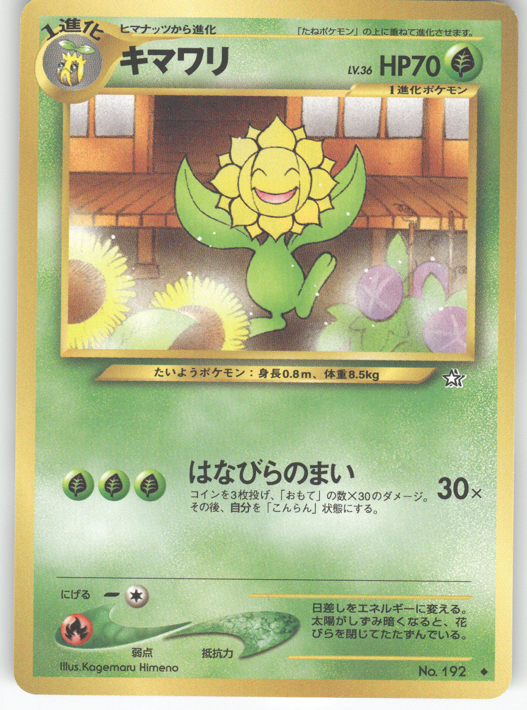 Sunflora