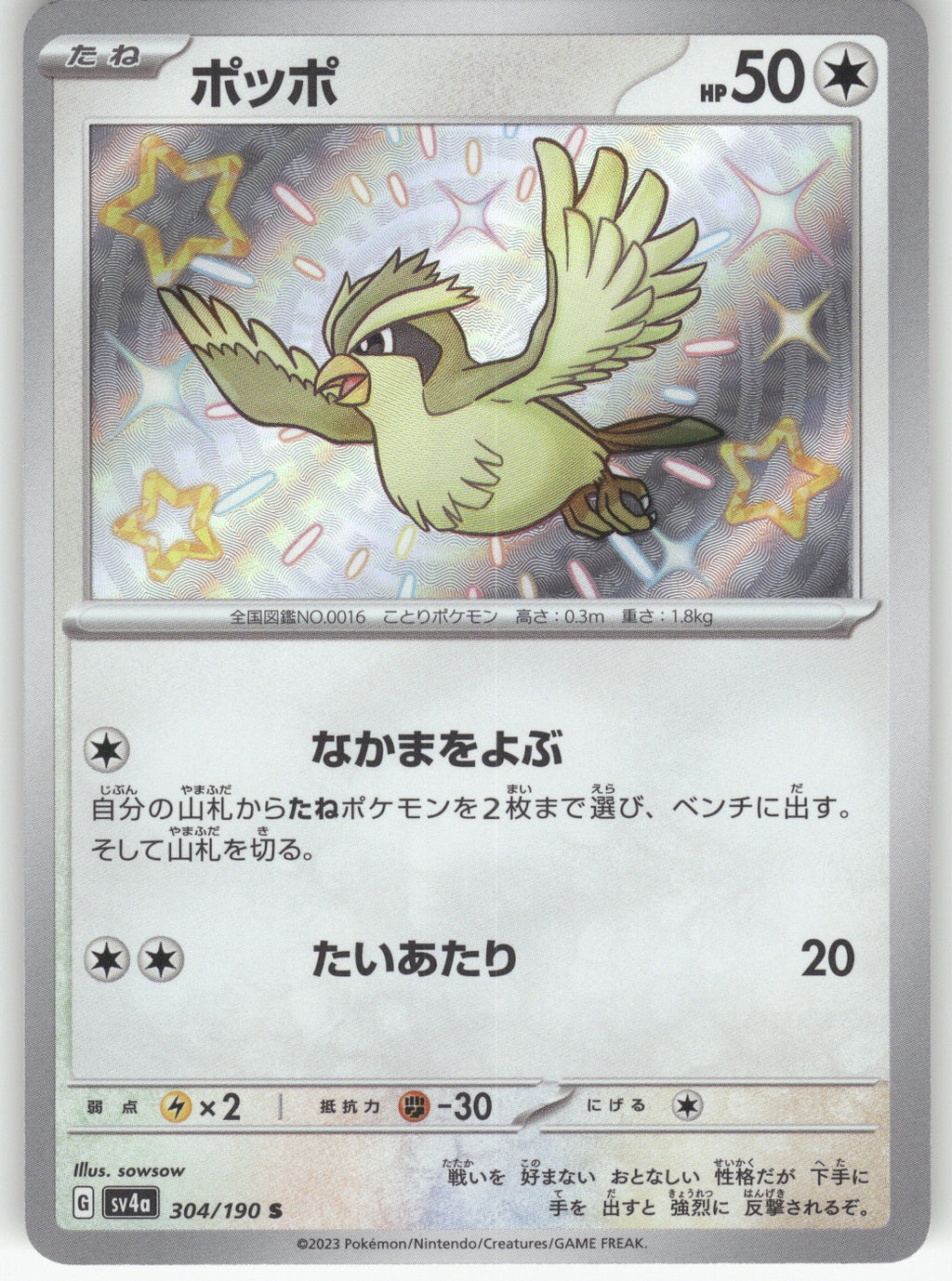Pidgey - 304/190