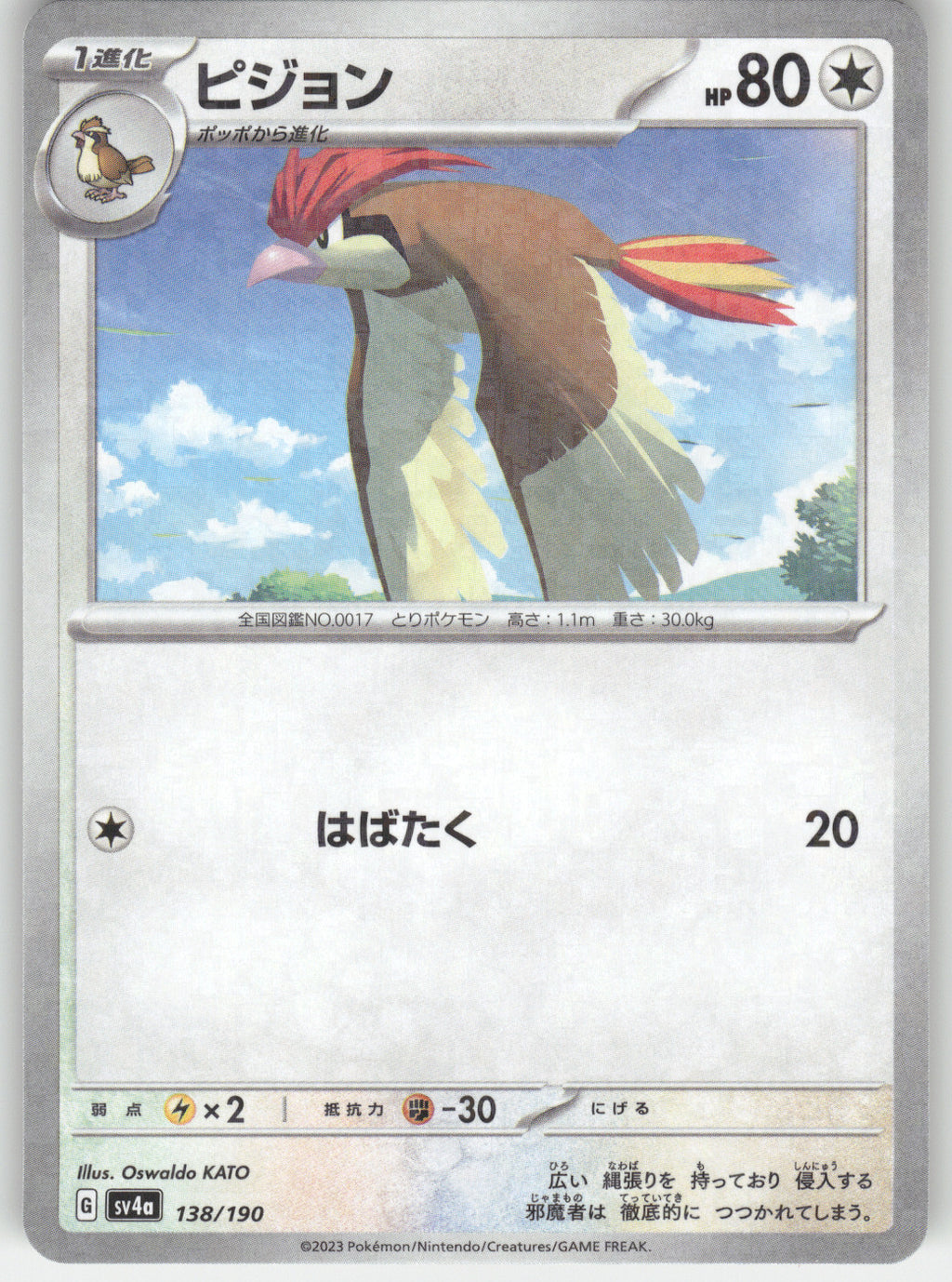 Pidgeotto - 138/190
