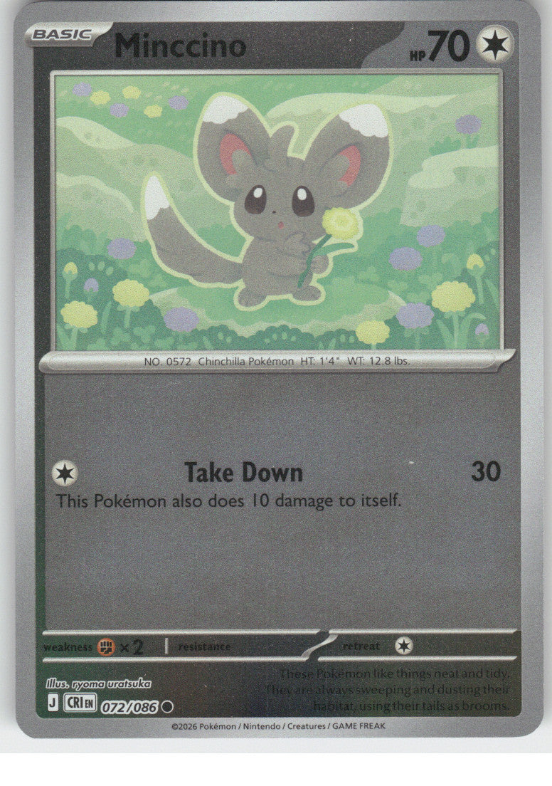 Minccino