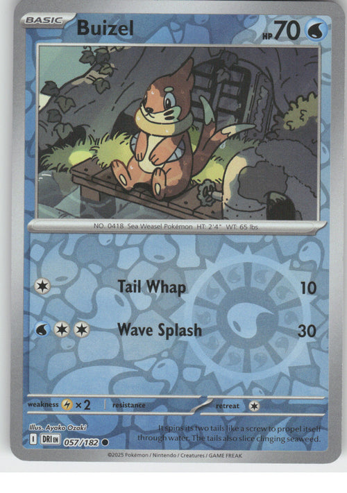Buizel