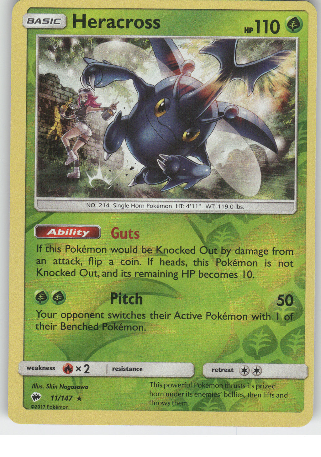 Heracross