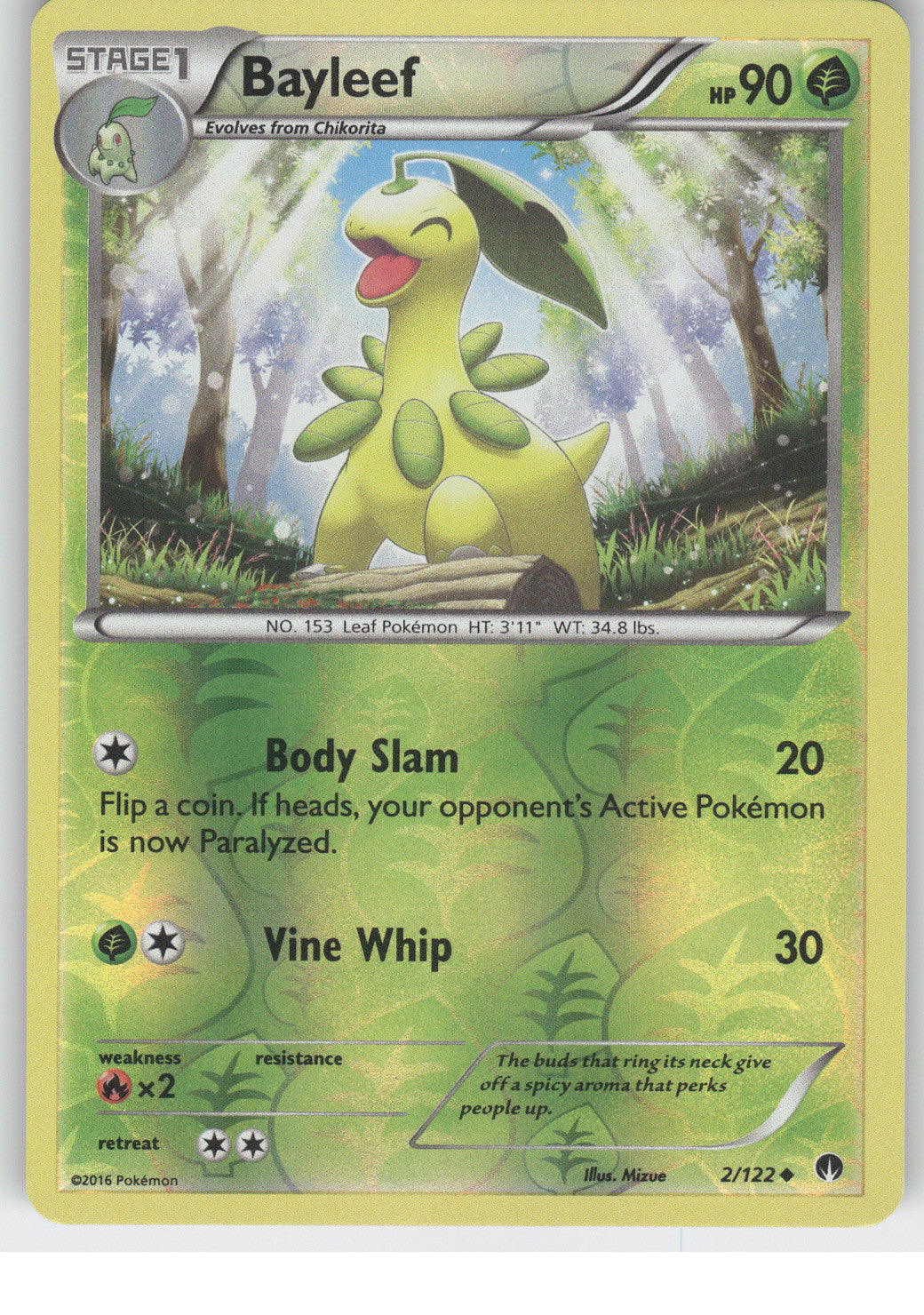 Bayleef