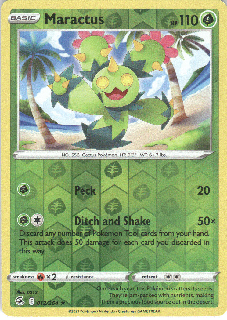 Maractus